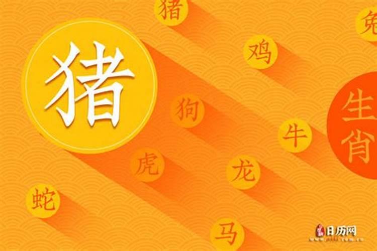 属牛2025年运势详解