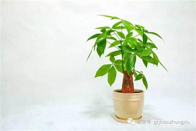 梦见涨水退潮