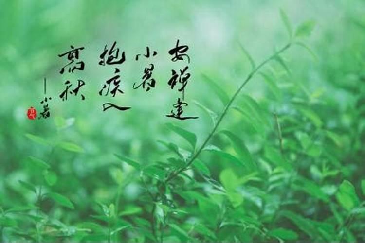 属马的几月出生最好 属马人出生在几月最好