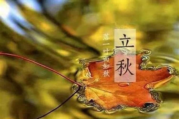 生肖马:秋季出生的属马人性格特点
