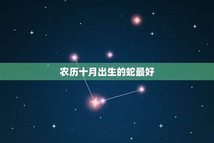 太岁今年在哪边,2023年犯太岁的五大生肖