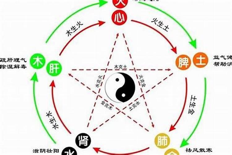 88年龙女2025年的运势