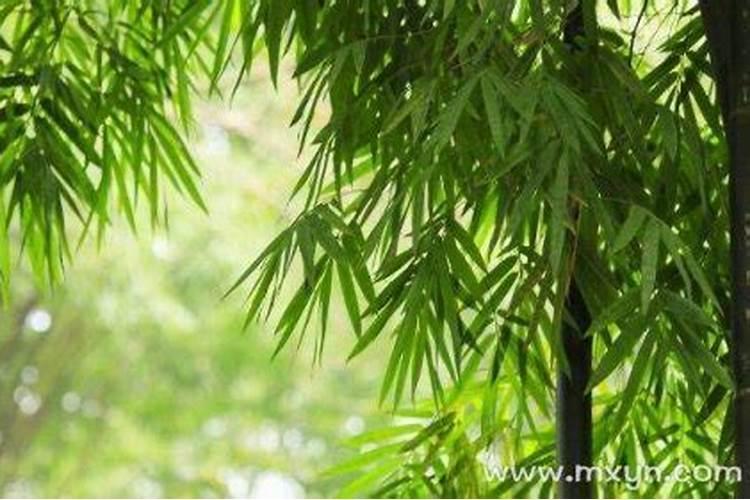 河南有一个三点水带阳的城市那个字读什么