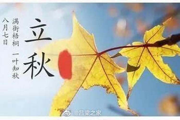 出生在立秋后算七月吗 过了立秋算七月？