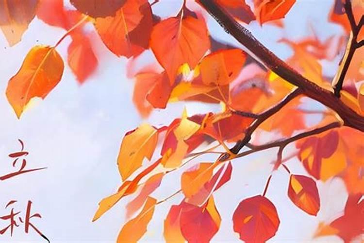 立秋是二十四节气的第几个