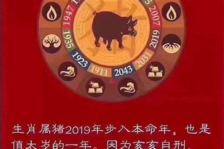 属虎的2025年犯太岁吗