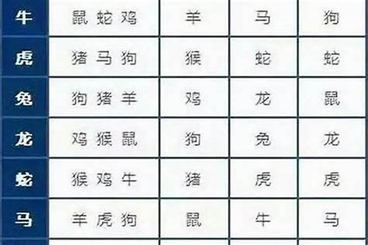 1996年属鼠男最佳婚配