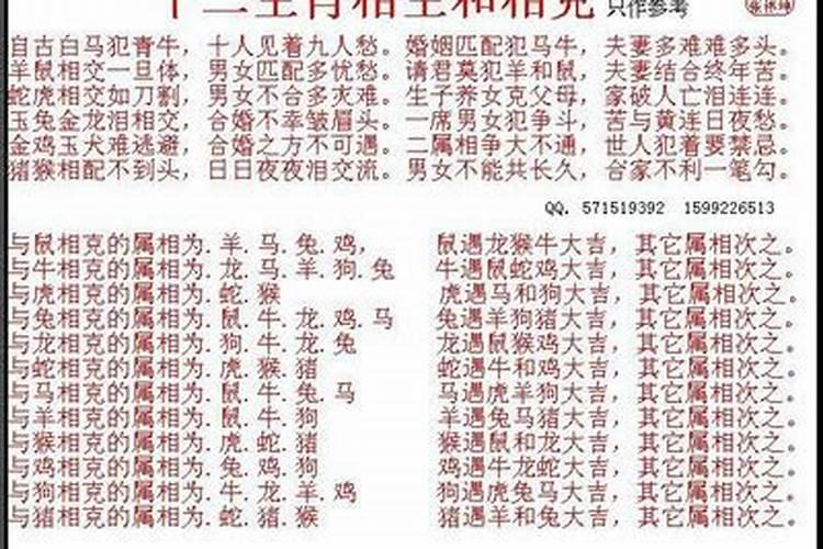 男狗和女鼠相冲吗 生肖相配中等婚姻互补