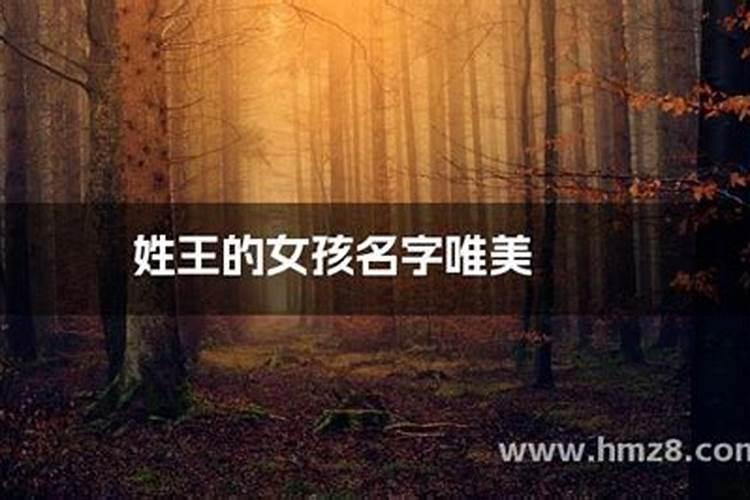 高分求王姓的最佳笔画配置,2009年5月24日17时生!