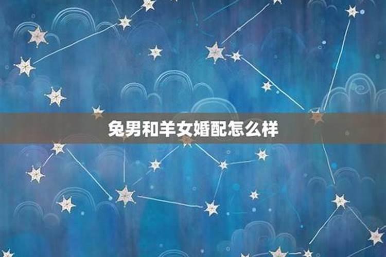 男属于兔女属于羊婚姻合适吗