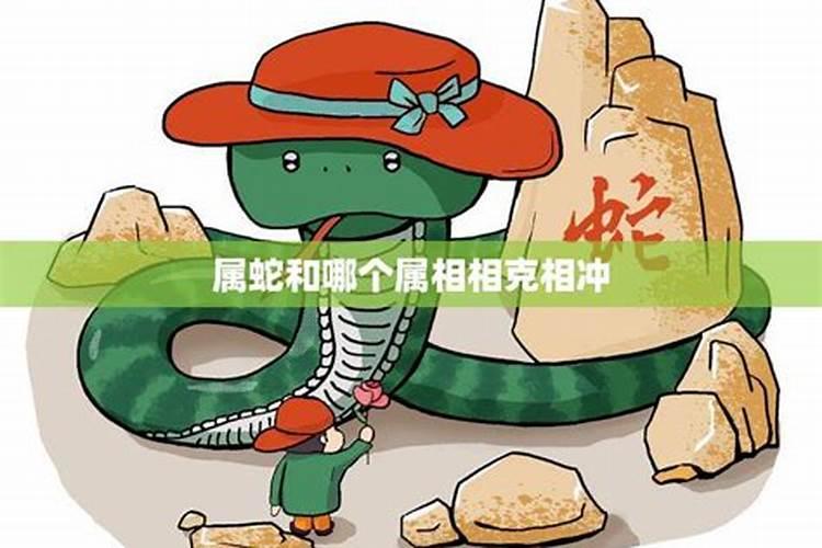 属蛇的男人和什么属相最配