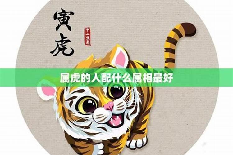 1999属虎最佳配偶属相