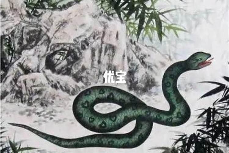 60岁本命年戴什么好,适合60岁戴的本命年吉祥物