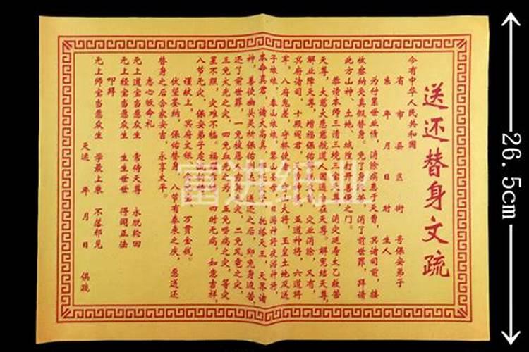 还人是送替身的意思吗