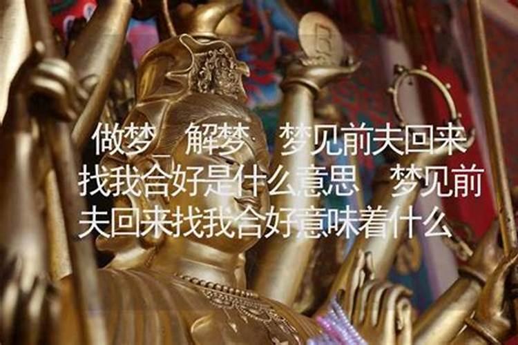 梦见猫捉老鼠并且叼着有什么征兆