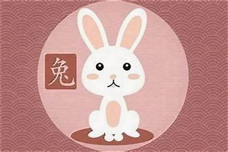 属兔女人婚配什么生肖最好兔女婚配适合什么属相