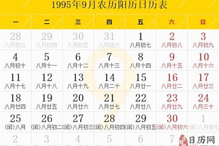 属马人2025年全年运势运程