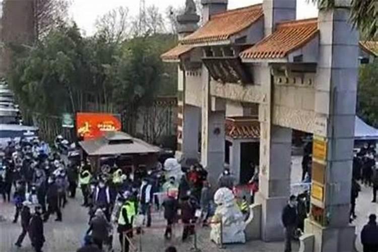 上海冬至扫墓怎么预约上海冬至祭扫交通攻略