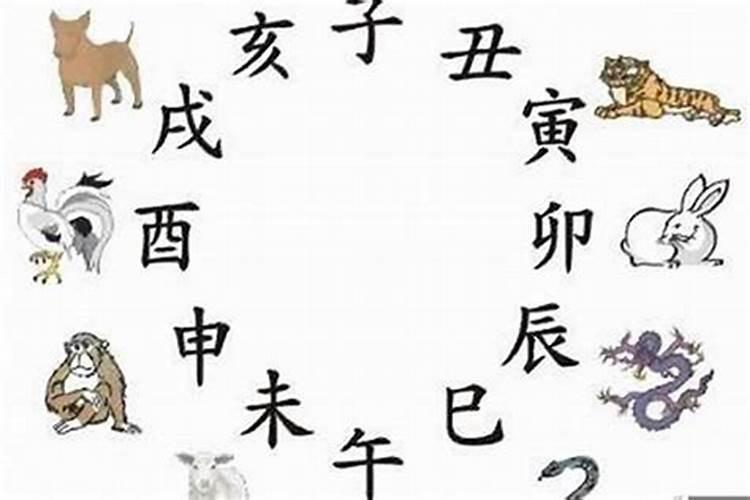 八字重量计算表八字重量计算表男女