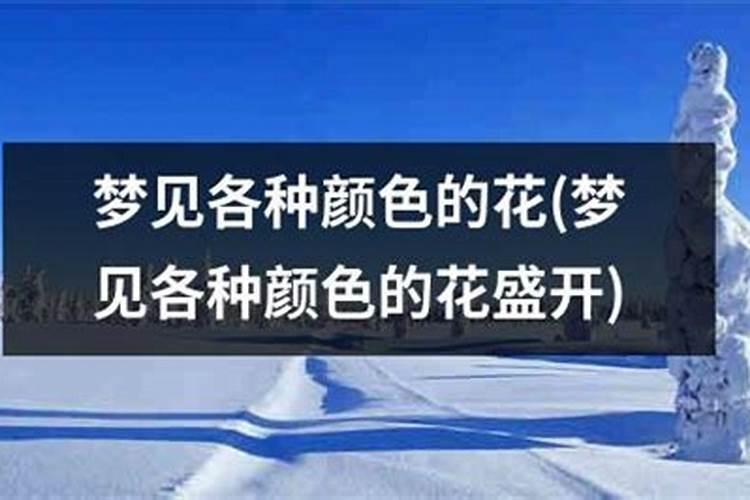 梦见花开的非常漂亮 梦见花开的非常漂亮代表什么