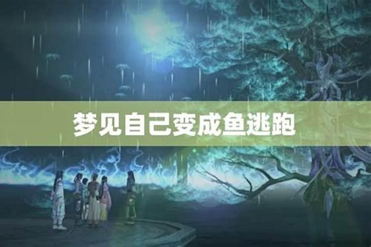 梦见美人鱼在水里游的预兆