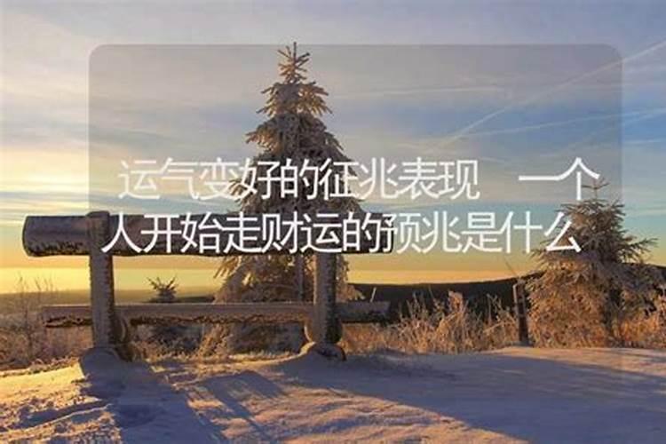 属鸡人2025全年运势 属鸡人2025年每月运势