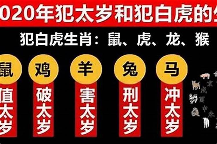 1979年冬月羊是什么命