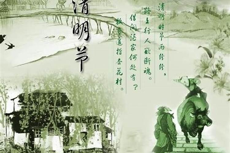 2025年范太岁属相有几个