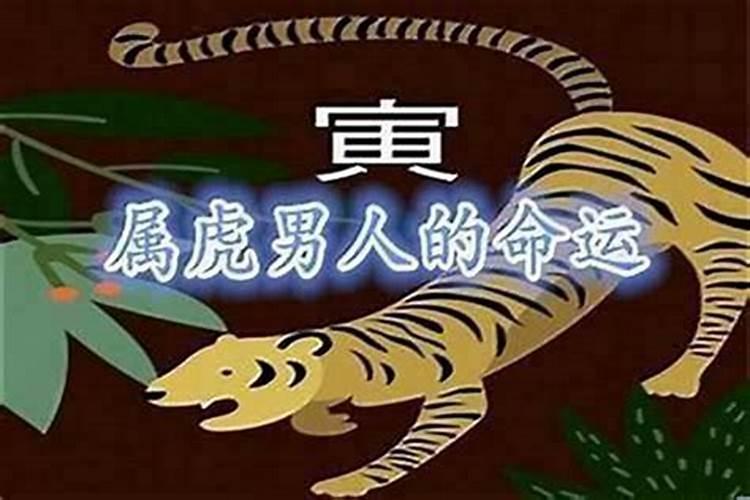 属虎最旺最顺的年份