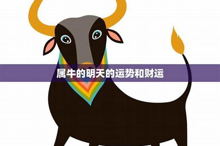 1972年属鼠在2025全年运势