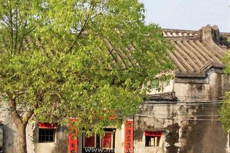 2033年出生属什么生肖