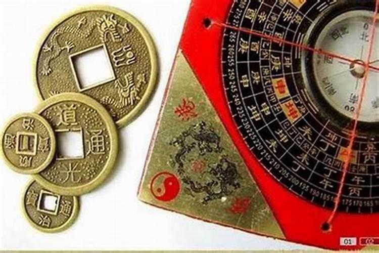 同属猪的合不合,95年属猪男与95年属猪女好不