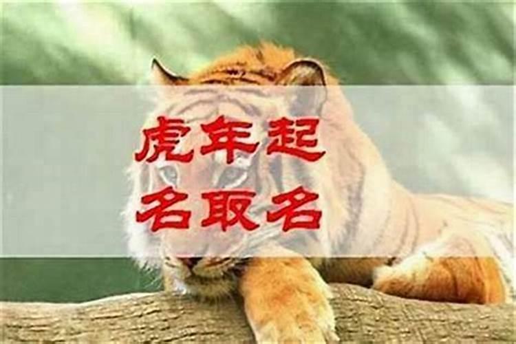 属狗1994年2025年运势及运程