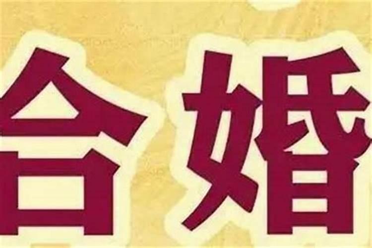 命理的犯太岁可信吗