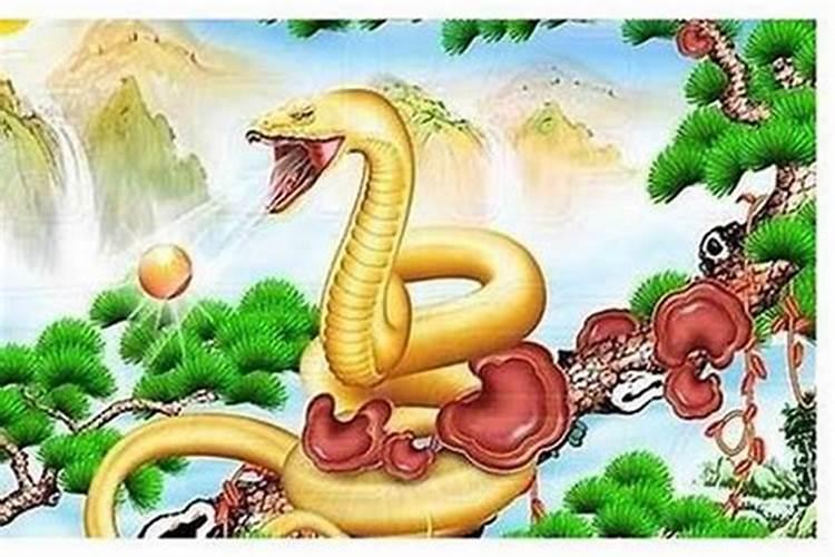 异度之刃2回避流用齐格还是梅姐