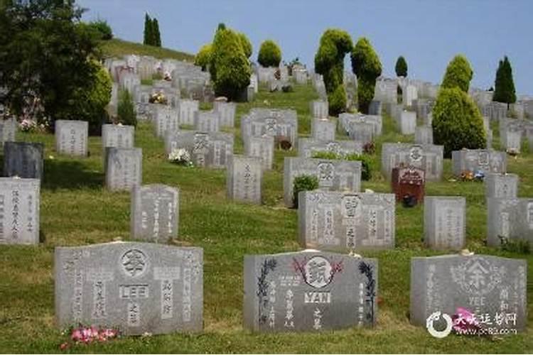 清明风俗有哪些