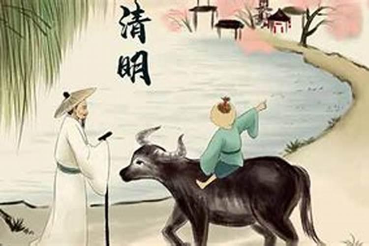 清明雨上(II集)扫墓