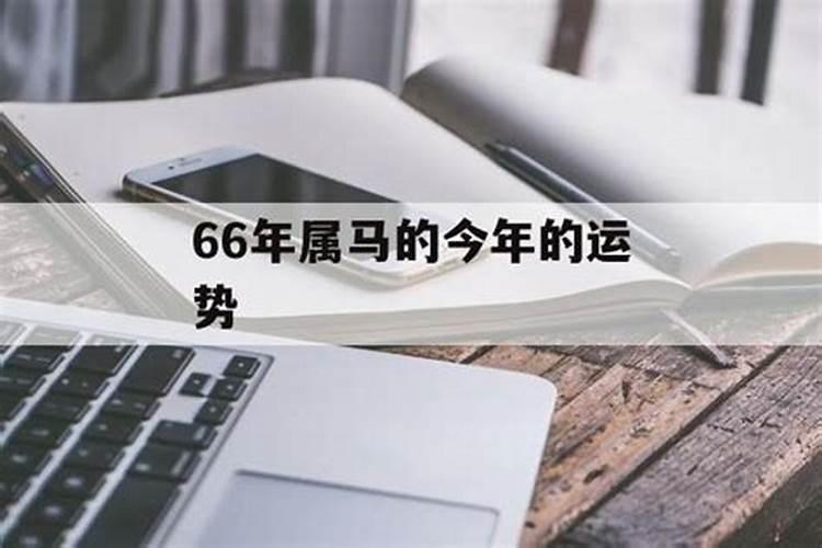 66年属马在2025年运气如何