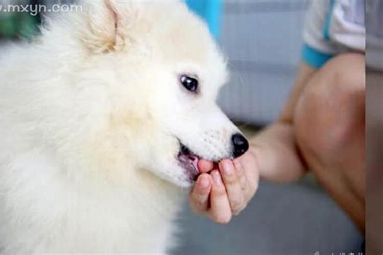 梦见自己被狗咬流血是什么意思？