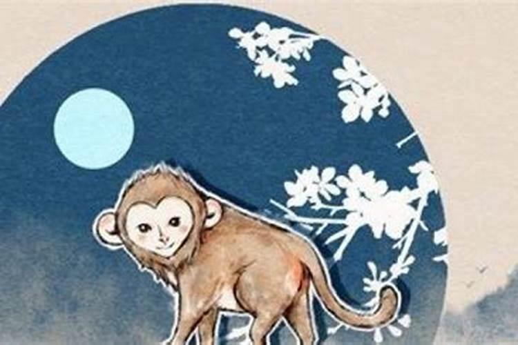 属猪在不同日期和月份出生的命运