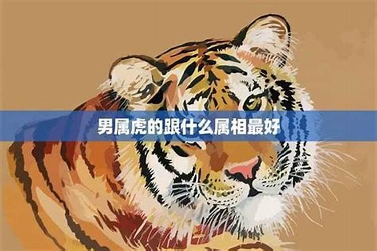梦见父母穿白婚纱的预兆