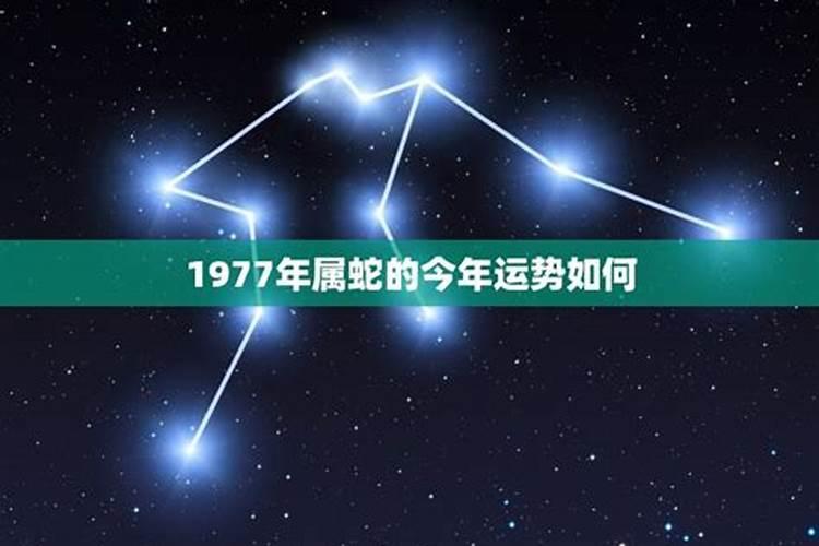 财神贴什么位置最旺财