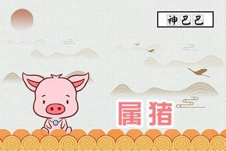 女羊男虎千万别在一起,男虎女羊结婚会怎样