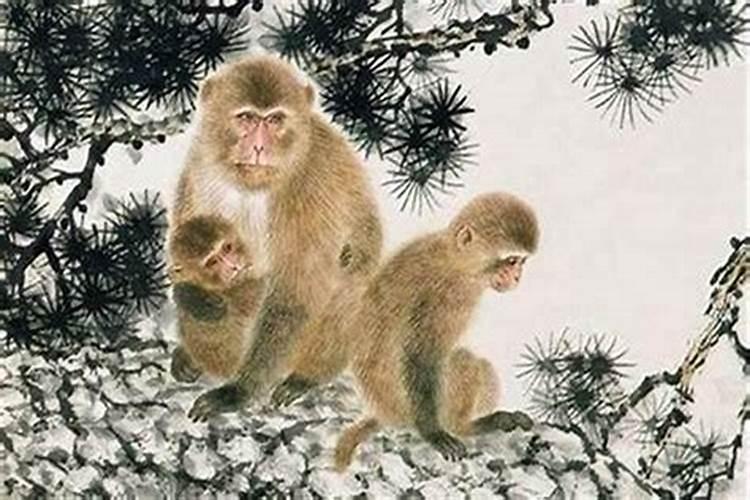 属猴男孩几点出生最好