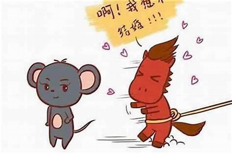 男鸡配女鼠婚姻怎么样？