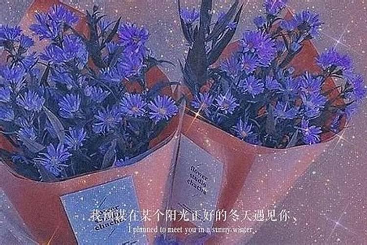 形容风景的八字短句(《岁月静好,美丽如画》)