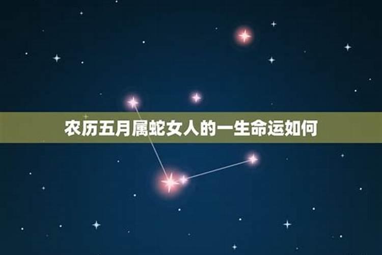 1965,5,28出生属蛇一生的运气咋样