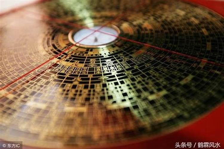 解除凶秽,以招吉祥!菊花在重阳节这天被赋予怎样的意义？