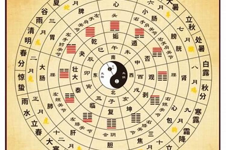清明节有什么习俗？