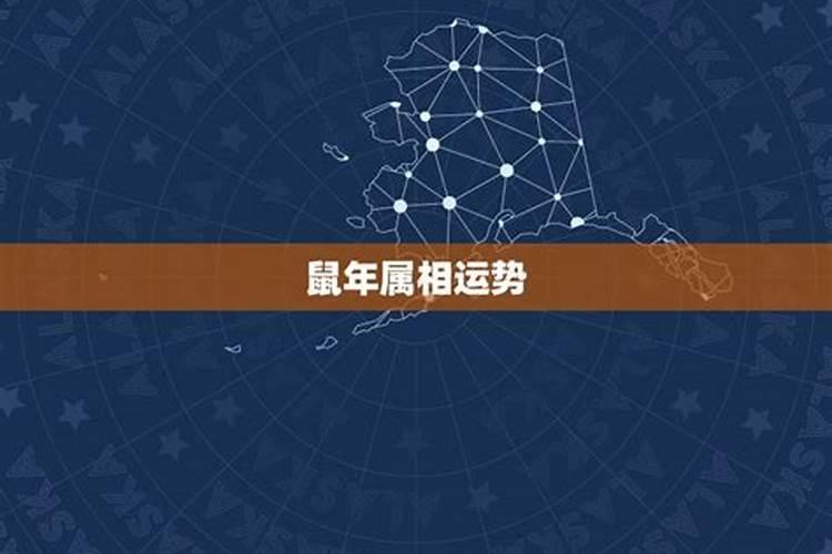 71年属猪男2025年运势